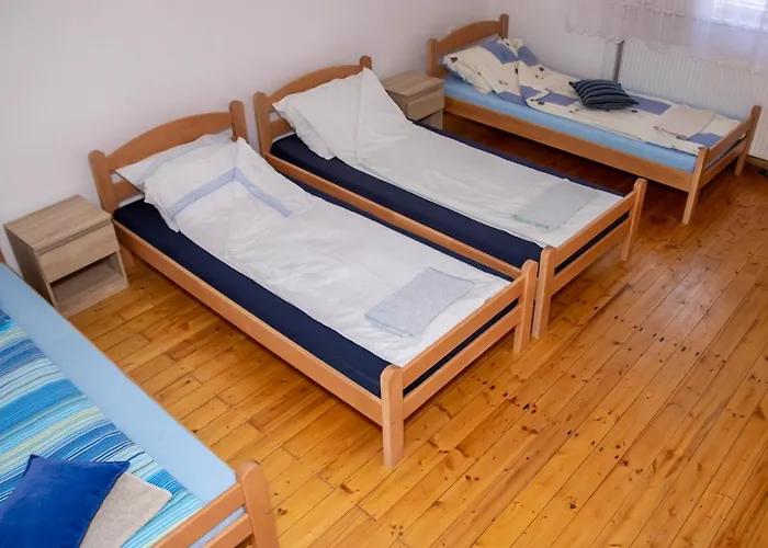 Prenociste Vanja 펜션 *